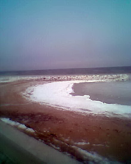 cine beneficiaza de groaznica furtuna de pe marelocalnicii din eforie au iesit la cules rapane galerie cine beneficiaza de groaznica furtuna de pe marelocalnicii din eforie au iesit la cules rapane galerie