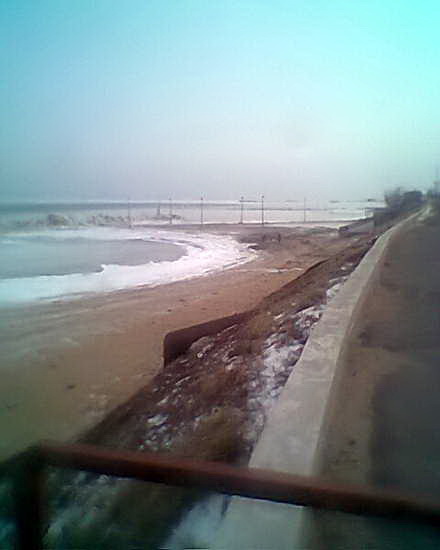 cine beneficiaza de groaznica furtuna de pe marelocalnicii din eforie au iesit la cules rapane galerie cine beneficiaza de groaznica furtuna de pe marelocalnicii din eforie au iesit la cules rapane galerie