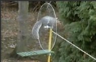 Mission Impossible Squirrel 