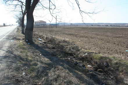 opel infipt in pom pe dn 2a tanara moarta in propriul accident galerie foto 52356 361488 opel infipt in pom pe dn 2a tanara moarta in propriul accident galerie foto 52356 361488