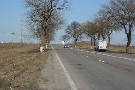 opel infipt in pom pe dn 2a tanara moarta in propriul accident galerie foto 52356 361488 opel infipt in pom pe dn 2a tanara moarta in propriul accident galerie foto 52356 361488