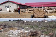 Poveste de coşmar la Ciocârlia Primarul cu termopane la grajduri, locuitorii cu mizeria (galerie foto)