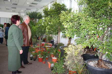 candidat la mandatul de primar cristian radu vrea primii turisti in mangalia de florii galerie foto 88120 candidat la mandatul de primar cristian radu vrea primii turisti in mangalia de florii galerie foto 88120