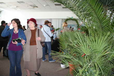 candidat la mandatul de primar cristian radu vrea primii turisti in mangalia de florii galerie foto 88120 candidat la mandatul de primar cristian radu vrea primii turisti in mangalia de florii galerie foto 88120