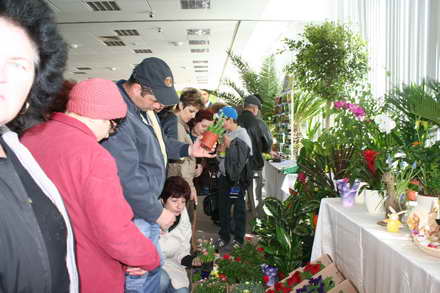 candidat la mandatul de primar cristian radu vrea primii turisti in mangalia de florii galerie foto 88120 candidat la mandatul de primar cristian radu vrea primii turisti in mangalia de florii galerie foto 88120