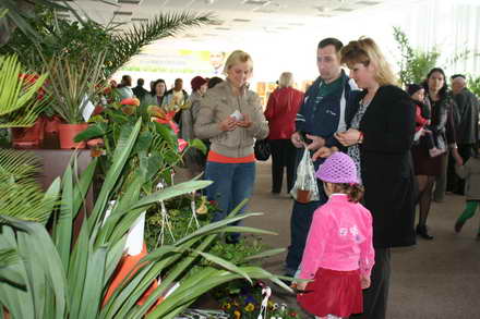 candidat la mandatul de primar cristian radu vrea primii turisti in mangalia de florii galerie foto 88120 candidat la mandatul de primar cristian radu vrea primii turisti in mangalia de florii galerie foto 88120