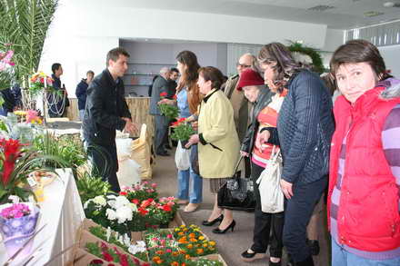 candidat la mandatul de primar cristian radu vrea primii turisti in mangalia de florii galerie foto 88120 candidat la mandatul de primar cristian radu vrea primii turisti in mangalia de florii galerie foto 88120