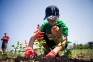 Elevii voluntari în proiectului EcoChampions au amenajat un nou spaţiu verde în Constanţa