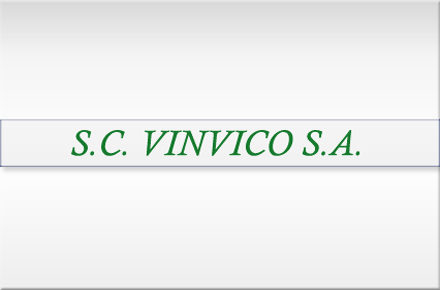 vinvico1.jpg