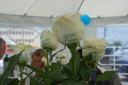 a treia editie marca euro vial lighting expozitia electrica demonstrativa cele mai noi solutii de iluminat a treia editie marca euro vial lighting expozitia electrica demonstrativa cele mai noi solutii de iluminat