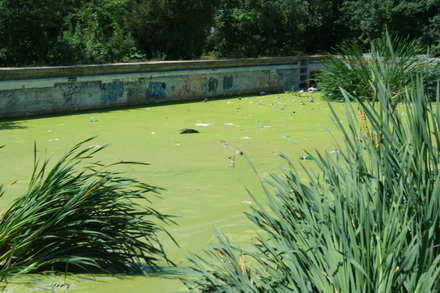 cu doar cinci zile inainte de alegerile locale au fost inaugurate magazinele pensionarilor galerie foto