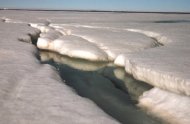 Cercetătorii avertizează topirea gheţii din Arctica afectează Europa