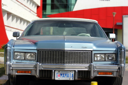 un brasovean indragostit de litorala pus numarul de inmatriculare la cadillac i love mamaia galerie foto un brasovean indragostit de litorala pus numarul de inmatriculare la cadillac i love mamaia galerie foto