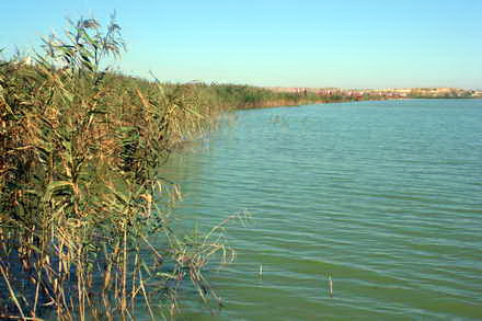 pe lacul de la corbu pescarii din 21 de tari se vor bate pentru cea mai mare captura galerie foto 97610 pe lacul de la corbu pescarii din 21 de tari se vor bate pentru cea mai mare captura galerie foto 97610