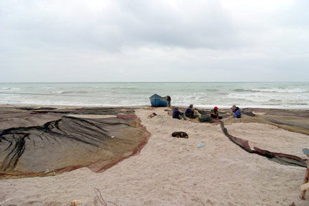 lipoveni pe plaja de la tuzla renegatii deltei si au intins plasele in marea neagra 73216 382841