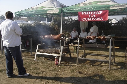 dsc07334.jpg
