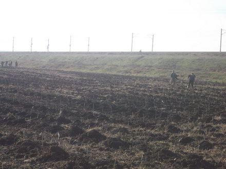 ce castiga localitatea poarta alba din impaduriri delicoti si chirila au plantat primii puieti urmeaza ce castiga localitatea poarta alba din impaduriri delicoti si chirila au plantat primii puieti urmeaza