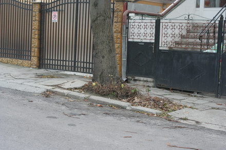 iata adevarata fata a orasului ziua de constanta vine pe strada ta astazi grozesti din faleza nord galerie