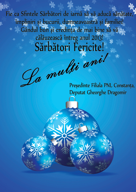 macheta_PNL_Craciun.jpg macheta_PNL_Craciun.jpg