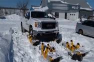 Nu o sa mai vrei cauciucuri de iarna cat oi trai! Ia-ti astea si o sa fii regele soselelor chiar si cand zapada e de 1 metru - toti soferii sunt innebuniti dupa ele (video)