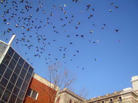 fotoreportaj 1 ianuarie 2013 in linistea marii 21820 390365