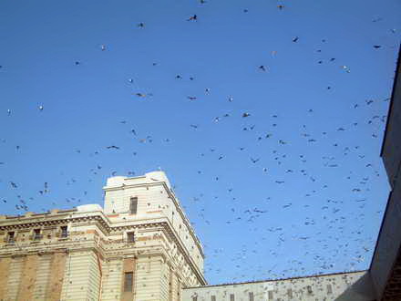 fotoreportaj 1 ianuarie 2013 in linistea marii 21820 390365