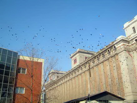 fotoreportaj 1 ianuarie 2013 in linistea marii 21820 390365