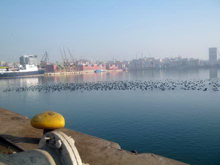 fotoreportaj 1 ianuarie 2013 in linistea marii 21820 390365