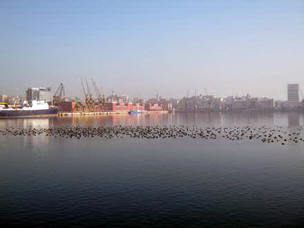 fotoreportaj 1 ianuarie 2013 in linistea marii 21820 390365