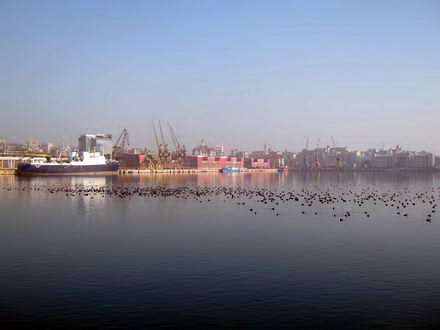 fotoreportaj 1 ianuarie 2013 in linistea marii 21820 390365