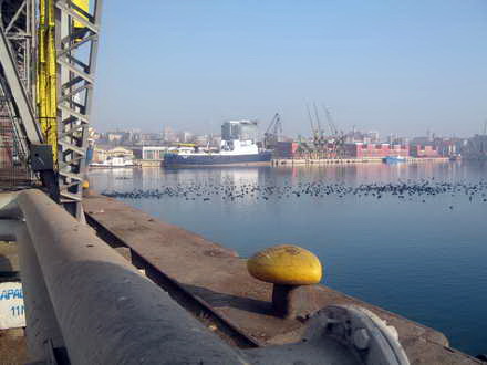 fotoreportaj 1 ianuarie 2013 in linistea marii 21820 390365