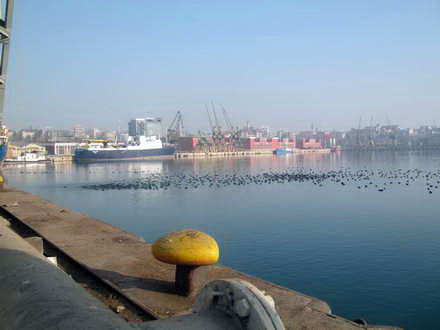 fotoreportaj 1 ianuarie 2013 in linistea marii 21820 390365