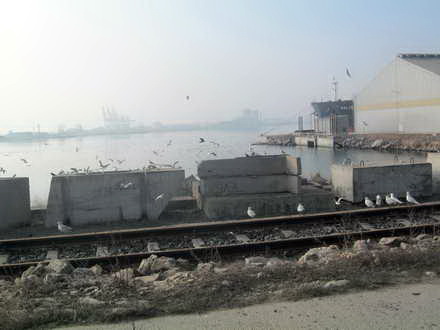 fotoreportaj 1 ianuarie 2013 in linistea marii 21820 390365