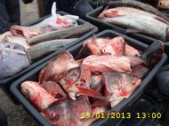 Buletin informativ Garda de Coastă Constanţa - 24.01.2013