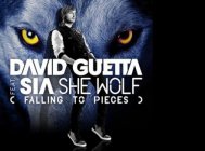 David Guetta - She Wolf