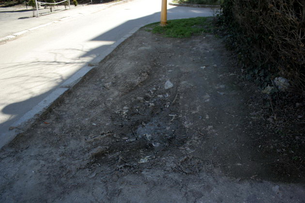 iata adevarata fata a orasului ziua de constanta vine pe strada ta astazi aleea magnoliei din zona ajofm iata adevarata fata a orasului ziua de constanta vine pe strada ta astazi aleea magnoliei din zona ajofm