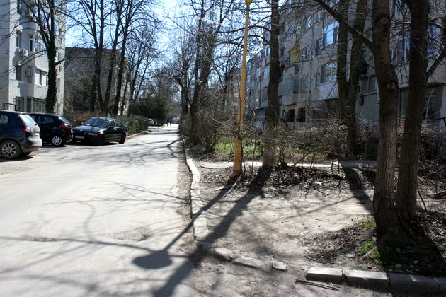 iata adevarata fata a orasului ziua de constanta vine pe strada ta astazi aleea magnoliei din zona ajofm iata adevarata fata a orasului ziua de constanta vine pe strada ta astazi aleea magnoliei din zona ajofm