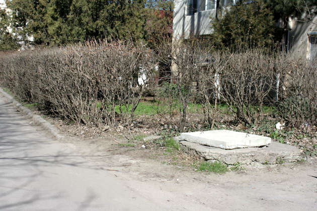 iata adevarata fata a orasului ziua de constanta vine pe strada ta astazi aleea magnoliei din zona ajofm iata adevarata fata a orasului ziua de constanta vine pe strada ta astazi aleea magnoliei din zona ajofm