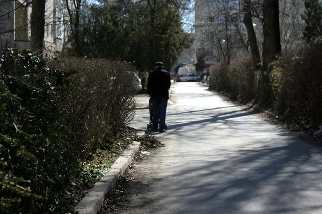iata adevarata fata a orasului ziua de constanta vine pe strada ta astazi aleea magnoliei din zona ajofm iata adevarata fata a orasului ziua de constanta vine pe strada ta astazi aleea magnoliei din zona ajofm