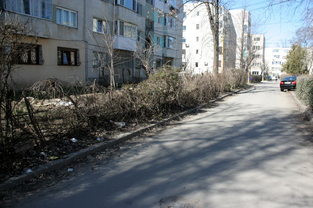 iata adevarata fata a orasului ziua de constanta vine pe strada ta astazi aleea magnoliei din zona ajofm iata adevarata fata a orasului ziua de constanta vine pe strada ta astazi aleea magnoliei din zona ajofm