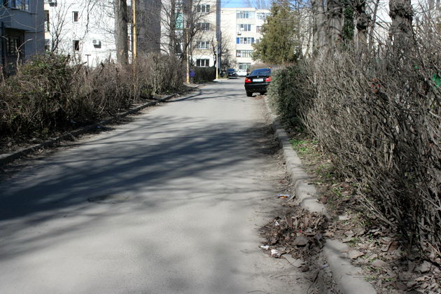 iata adevarata fata a orasului ziua de constanta vine pe strada ta astazi aleea magnoliei din zona ajofm iata adevarata fata a orasului ziua de constanta vine pe strada ta astazi aleea magnoliei din zona ajofm
