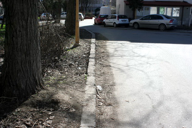 iata adevarata fata a orasului ziua de constanta vine pe strada ta astazi aleea magnoliei din zona ajofm iata adevarata fata a orasului ziua de constanta vine pe strada ta astazi aleea magnoliei din zona ajofm