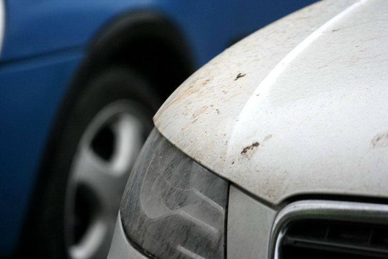 nicio autoritate nu clarifica situatia un nor de pulbere galbena de provenienta incerta s a abatut asupra nicio autoritate nu clarifica situatia un nor de pulbere galbena de provenienta incerta s a abatut asupra