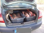 Aproximativ 100 kilograme de peşte confiscate 