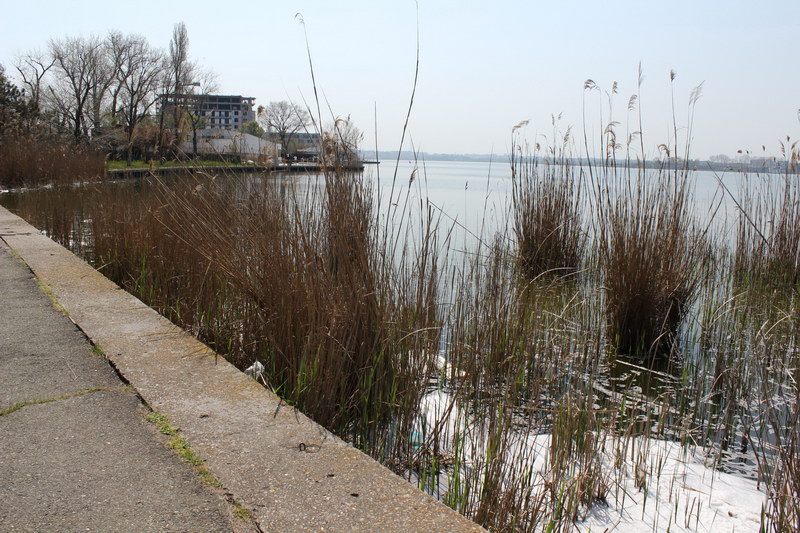 mai sunt pentru zile pana la 1 mai in zona hotelului iaki din mamaia stufarisul uscat arata deplorabil mai sunt pentru zile pana la 1 mai in zona hotelului iaki din mamaia stufarisul uscat arata deplorabil