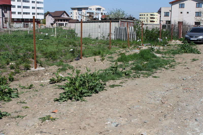 iata adevarata fata a orasului ziua de constanta vine pe strada ta astazi strada rapsodiei din cartierul iata adevarata fata a orasului ziua de constanta vine pe strada ta astazi strada rapsodiei din cartierul