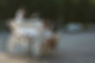 CLICK ZIUA DE CONSTANŢA. IMAGINEA ZILEI Aşa e de când lumea. ăla mic îi duce-n spate p-ăia mari!