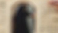 CLICK ZIUA DE CONSTANŢA. IMAGINEA ZILEI Ce-avem noi aici?
