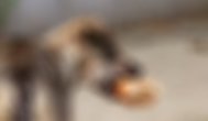 CLICK ZIUA DE CONSTANŢA. IMAGINEA ZILEI Ăştia-s covrigi în coadă la constanţa?