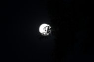 Coincidenţă astronomică Mâine avem eclipsa, avem superluna şi echinocţiul de primăvară 